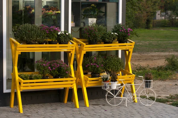 Flowers Entrance Flower Shop — Stock Photo, Image