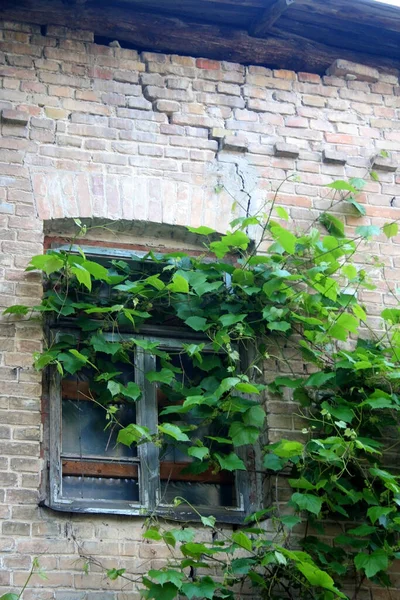 Una Vieja Ventana Una Casa Ladrillo Abandonada — Foto de Stock