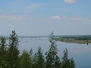 Ufukta köprüsü ve önünde ağaçları olan güzel nehir manzarası..