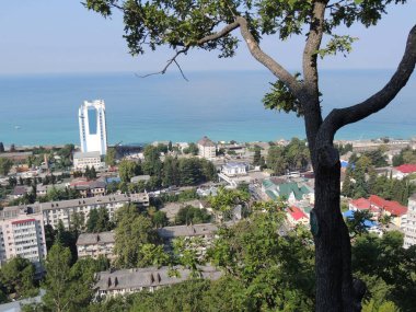 Gerçekten güzel bir deniz manzarası. Önünde şehir, solunda ağaç var..
