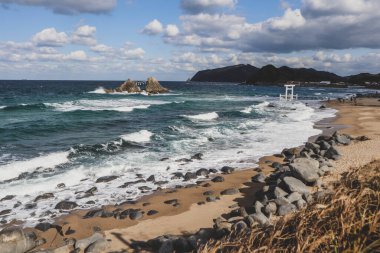 Yumuşak dalgalarla okyanusun manzarası, rüzgarda sallanan uzun otlar ve kabarık bulutlarla dolu canlı mavi bir gökyüzü. Mükemmel doğa ve mevsimsel arka plan.