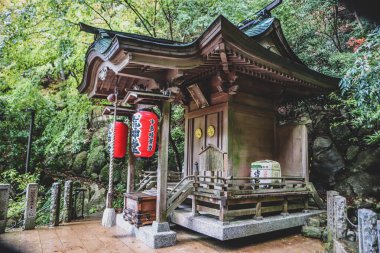 Geleneksel Japon ahşap tapınağı ve dingin, yosun kaplı ormanla çevrili kutsal fenerler..