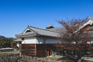 Mavi Gökyüzü Seyahat Tarihi Tarihi Tarihi Tarihi Tarihi Tarihi