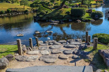 Yoğun Orman ve Canlı Doğal Renklerle Manzaralı Dağ Manzarası