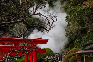 Çam ormanı ve mavi gökyüzü ile çevrili huzurlu dağ gölü