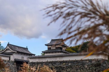Taş duvarı ve uzun çimenleri olan tarihi Japon mimarisi..