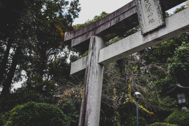 Huzurlu bir Japon Tapınağının Eski Yosun Torii Kapısı.