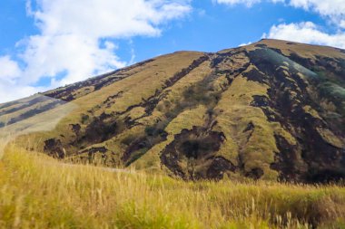 Güzel otlak tepesi ve Aso Dağı 'ndaki volkan manzarası.