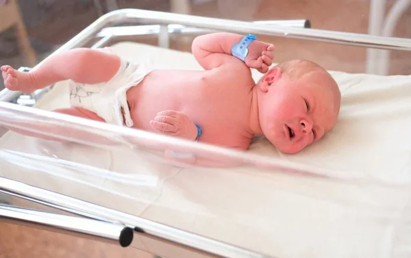 Pasgeboren baby - een jongen of een meisje in een kraamkliniek slaapt in een wieg, concept - gezondheidszorg en geneeskunde. Stockfoto