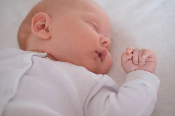 Portrait of a sleeping newborn baby on a white blanket. — Stock Photo, Image