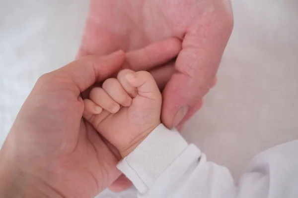 Parents hold the hand of their newborn baby in their arms.Hands close up — Stock Photo, Image
