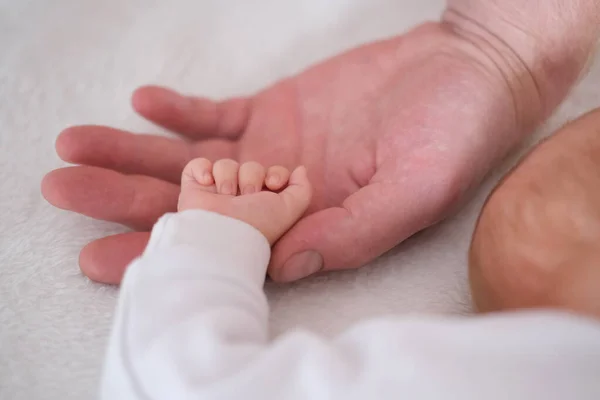 Un padre tiene la mano del suo neonato nel palmo della mano. Mani in alto — Foto Stock