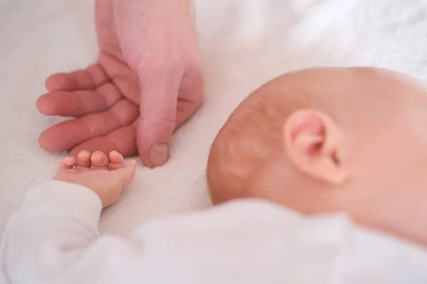 Un padre sostiene la mano de su bebé recién nacido en su palma. Las manos de cerca — Foto de Stock