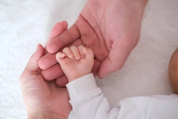 Orang tua memegang tangan bayi baru lahir mereka di lengan mereka. Tangan menutup — Stok Foto