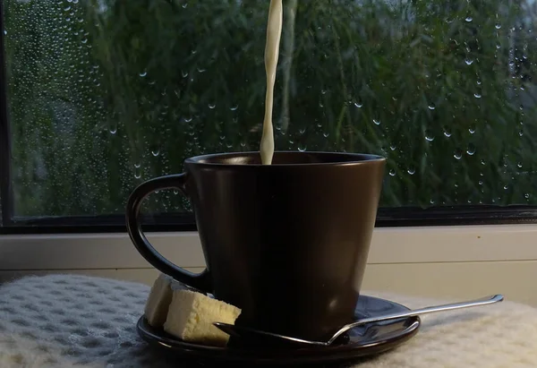 Yağmurda Sütlü Kahve — Stok fotoğraf