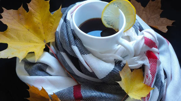 Šálek Kávy Teplém Útulném Šátku Javorovými Listy — Stock fotografie