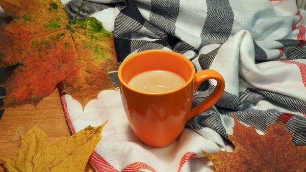 Oranžový Hrnek Latté Kávou Pozadí Útulné Šály Javorových Listů — Stock fotografie
