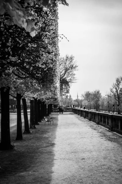 Shady alley in the park, Paris