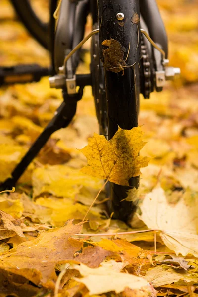 Tylne koło czarnego małego roweru — Zdjęcie stockowe