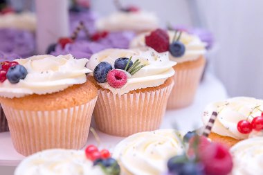 Yaban mersini ve ahududu, leylak kremalı bir tatil keki farklı lezzetli kekler..