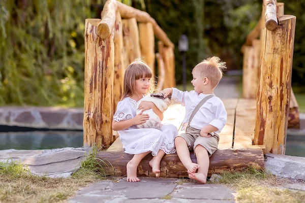 一个小女孩和一个男孩坐在河上的一座桥上 一个女孩手里拿着一只宠物兔子 那男孩想爱抚兔子 自然漫步 — 图库照片