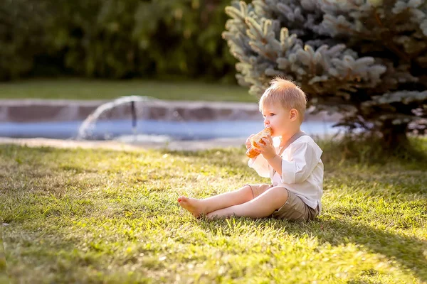 一个小男孩正坐在蓝色云杉旁边的草地上 那男孩有一瓶牛奶和一个自制的面包 那男孩吃了一个面包 自然漫步 — 图库照片