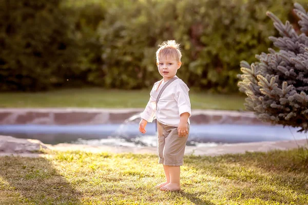 一个小男孩站在蓝色云杉旁边的草地上 男孩看着你 自然漫步 — 图库照片