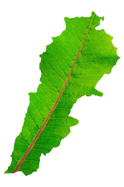 Χάρτης του Λιβάνου με πράσινη υφή φύλλου σε λευκό απομονωμένο φόντο. Οικολογία, έννοια του κλίματος, 3d εικονογράφηση — Φωτογραφία Αρχείου