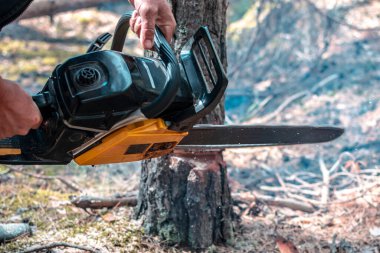 Elektrikli testere ormanda bir ağacı testereyle keser. Ağaçları kesmek, orman tahribatı. Ağaç gövdesinin alt kısmını kapat, yüzü yok.