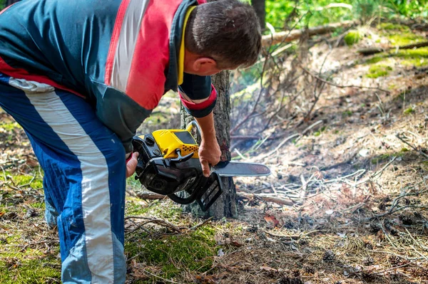 Close-up of woodcutter sawing chain saw in motion, sawdust and smoke fly to the sides. lumberjack is sawing a tree trunk with a chainsaw.