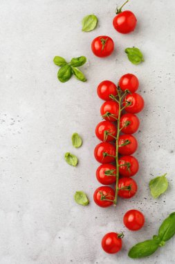 Ham taze kiraz domates, zeytin yağı ve yaprak fesleğen gri arka plan üzerinde dalı. Gıda arka plan. Seçici odak. Üstten görünüm.