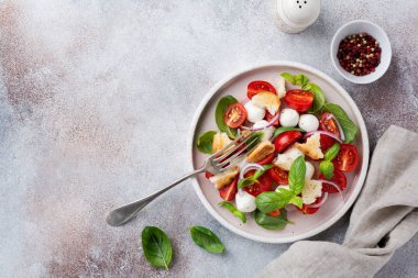 Kiraz domates, mozzarella peyniri, fesleğen ve seramik tabakta ekmek ile geleneksel İtalyan salatası Panzanella. Üstte görüntü.