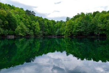 Göl, ağaçlar ve zarif yansıma..