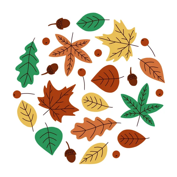 Set daun musim gugur berwarna-warni dalam bentuk lingkaran. Terisolasi di latar belakang putih. Ilustrasi vektor gambar tangan sederhana. - Stok Vektor