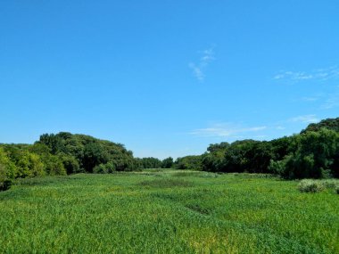 Güzel bir yeşil arazi manzarası