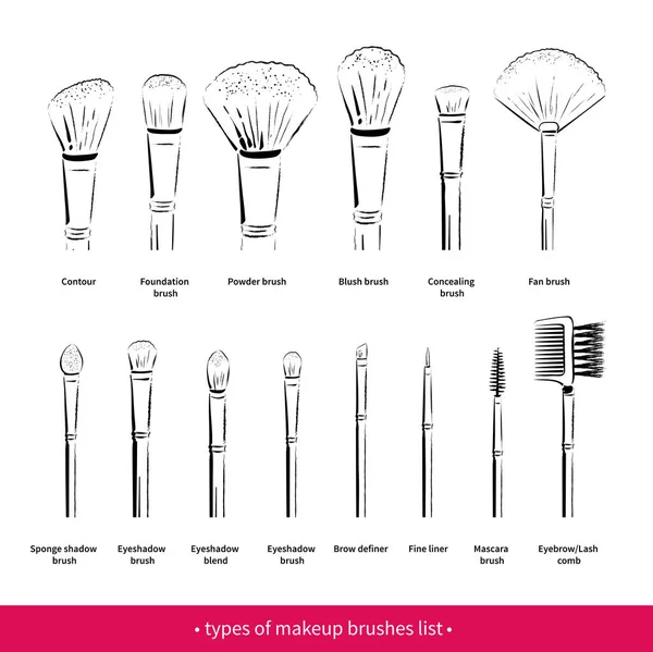Vector collection of makeup brushes kit Vector Graphics