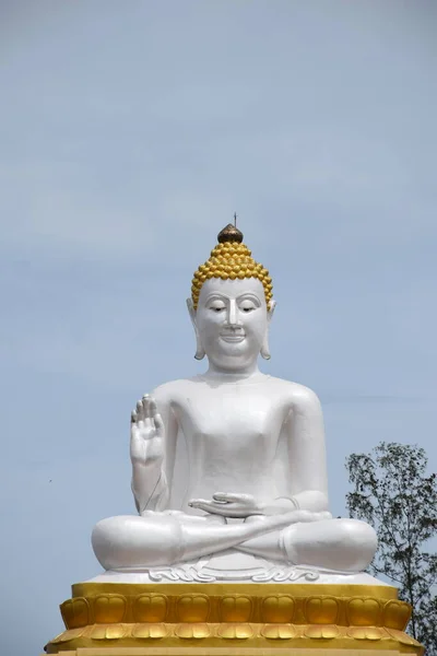 Buddha Szobrok Thai Templomok Tisztelik Imádják Buddhisták Hogy Emlékezzen Tartózkodjon — Stock Fotó