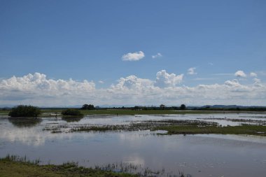 Tayland 'ın güneyindeki en büyük tatlı su gölünün sulak alanlarının üzerindeki gökyüzü bulutları. Bufalo gibi otlaklar.