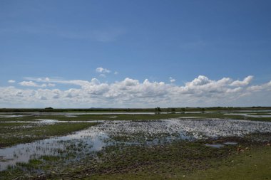 Tayland 'ın güneyindeki en büyük tatlı su gölünün sulak alanlarının üzerindeki gökyüzü bulutları. Bufalo gibi otlaklar.