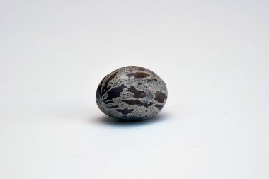 Beyaz arka plandaki kauçuk ağacı tohumu veya Hevea brasiliensis otomobil tekerlekleri gibi çeşitli endüstrilerde hammadde üreten ekonomik bir üründür.