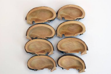 Beyaz bir zemin üzerinde tohum kaplı kauçuk ağaçlar veya Hevea brasiliensis otomobil tekerlekleri gibi çeşitli endüstrilerde hammadde üreten ekonomik bir üründür.