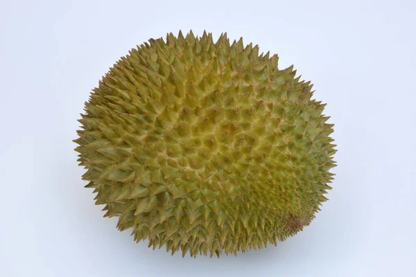 Durian Sur Fond Blanc Appelé Phuang Manee Est Une Espèce — Photo