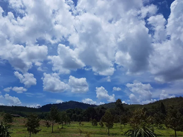 Las Nubes Cielo Sobre Área Plantación Durian Rodeada Campos Verdes —  Fotos de Stock