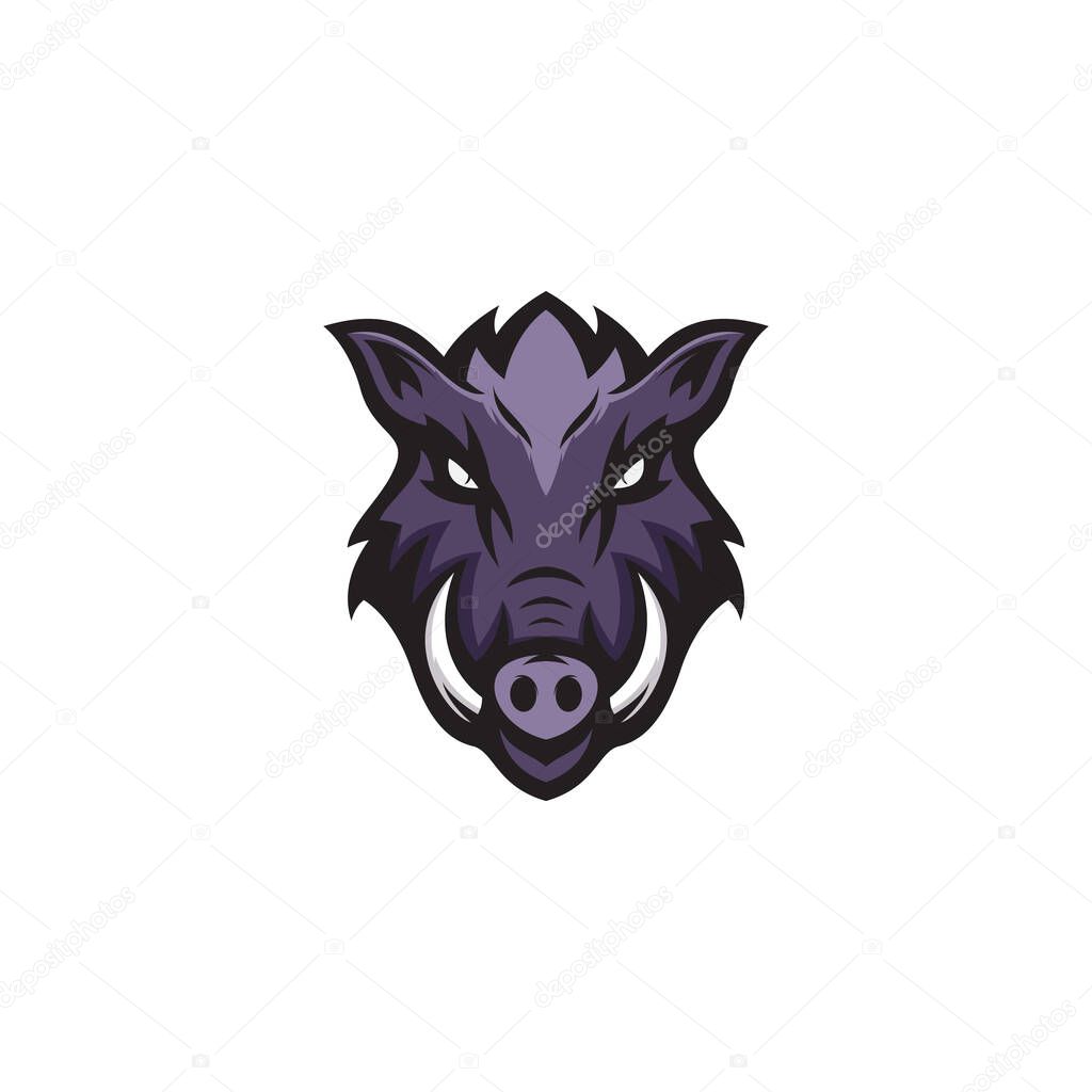 Vector illustration wild boar animal design