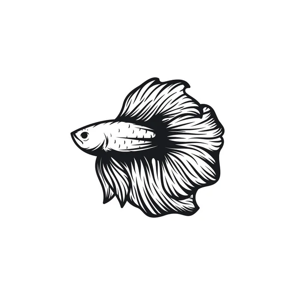 Красива Риба Бета Векторна Ілюстрація — стоковий вектор