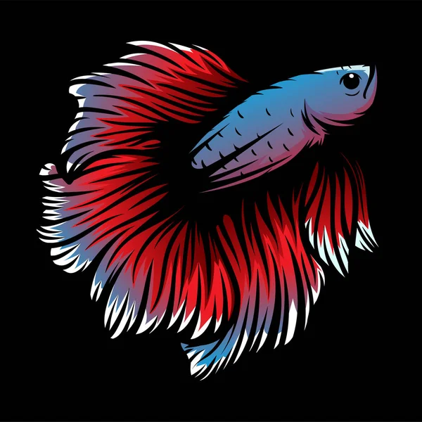 Betta Peces Vector Ilustración Fondo Colorido — Archivo Imágenes Vectoriales