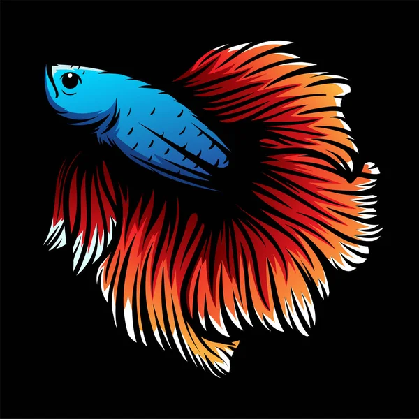 Betta Peces Vector Ilustración Fondo Colorido — Archivo Imágenes Vectoriales