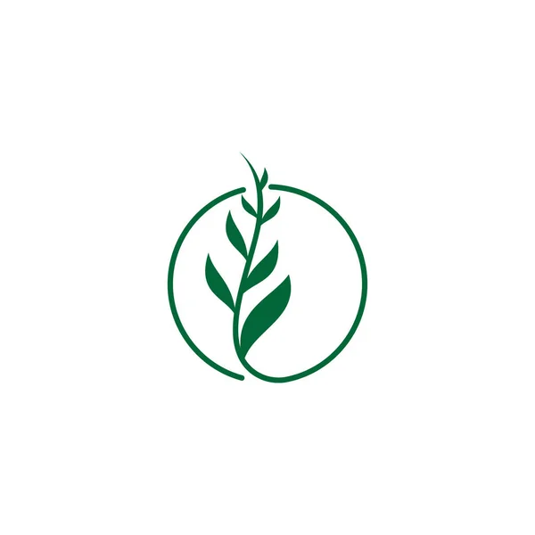 Disegno Logo Foglia Cerchio Colore — Vettoriale Stock