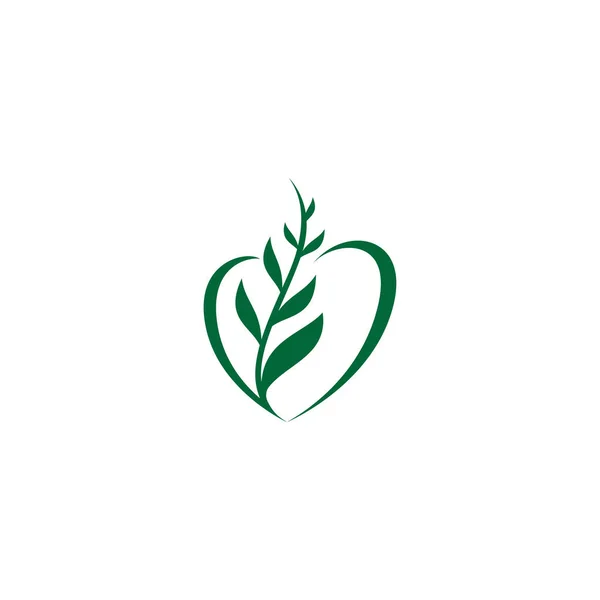 Colore Amore Foglia Logo Design — Vettoriale Stock