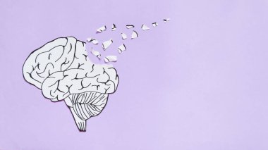 İnsan beyninin sunduğu beyin bozukluğu sembolü mor arkaplan üzerinde yırtılan form kağıdı. Alzheimer hastalığı, bunama ya da hafıza kaybı için yaratıcı bir fikir. Ruh sağlığı konsepti.